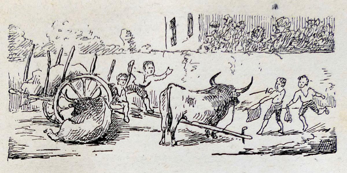 Ils Excellent Dans L'art De L'escroquerie II - L'apprentissage de la tauromachie ou les encyclopédistes